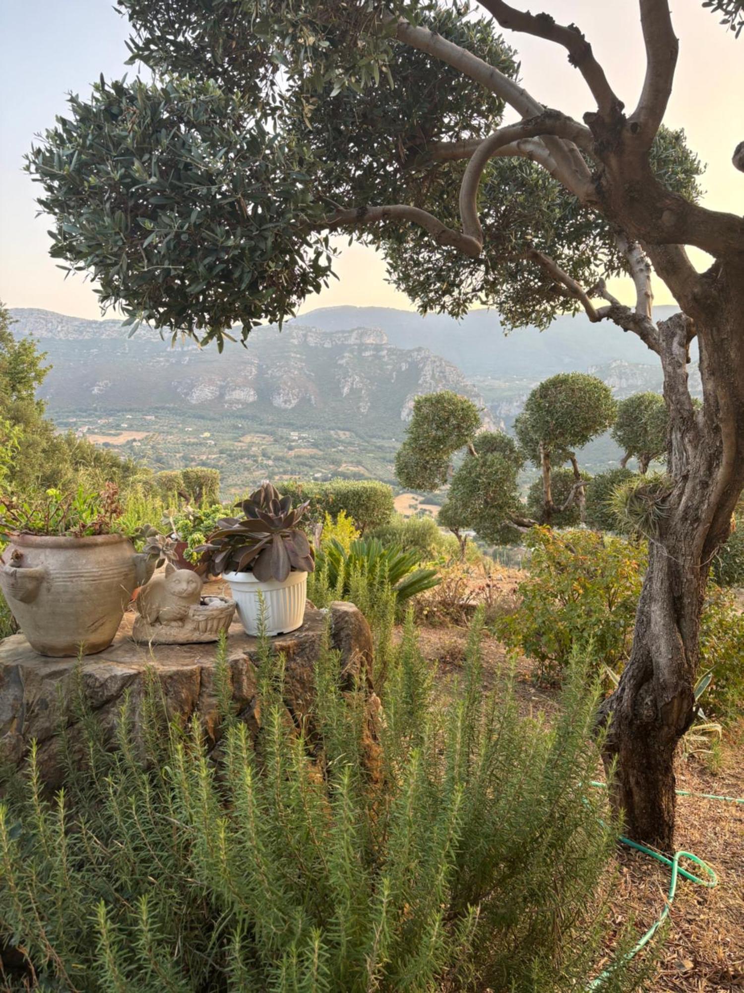 B&B Casa Martina Giungano 外观 照片