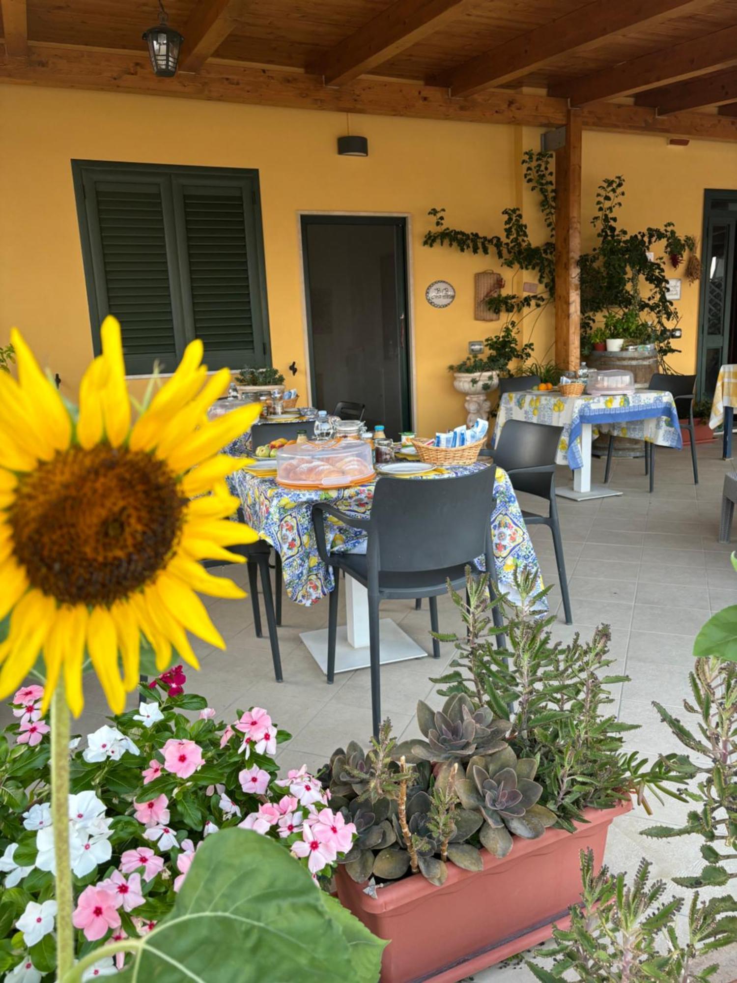 B&B Casa Martina Giungano 外观 照片