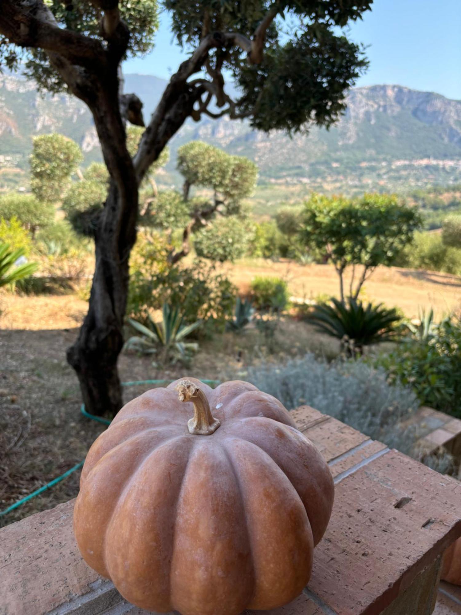 B&B Casa Martina Giungano 外观 照片