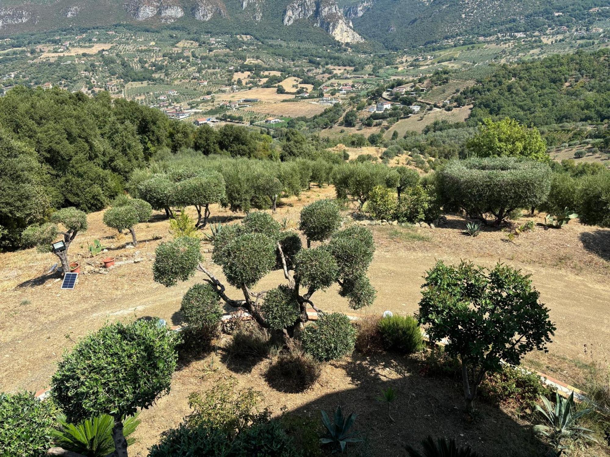 B&B Casa Martina Giungano 外观 照片
